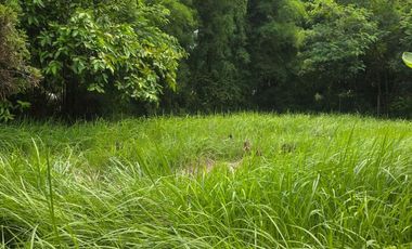 Cikarang Industrial Bekasi Lippo Cikarang Jababeka Kerawang Mm2100 Eks Pabrik Siap Nego Murah