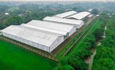 Dijual Kompleks Pergudangan Luas Bangunan Gress