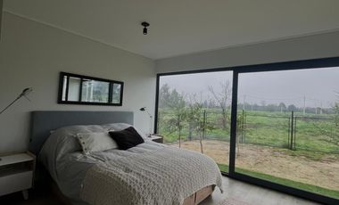 LA GRUTA DE LIMACHE - LIMACHE