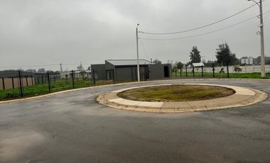 LA GRUTA DE LIMACHE - LIMACHE