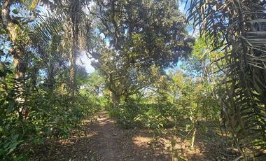 finca de venta en manta en la sierrita el aromo