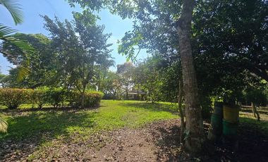 finca de venta en manta en la sierrita el aromo