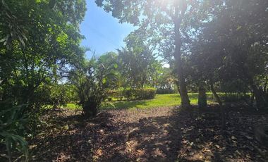 finca de venta en manta en la sierrita el aromo