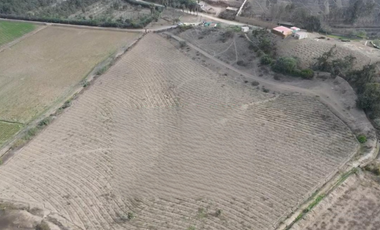 Venta De Terreno Agrigola En Pachacamac 30,000M2