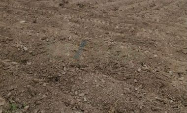 Venta De Terreno Agrigola En Pachacamac 30,000M2