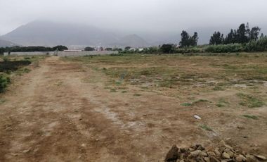 Venta De Terreno Agrigola En Pachacamac 30,000M2