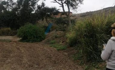 Venta De Terreno Agrigola En Pachacamac 30,000M2