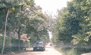 Una casa con jardín amplio y mucha paz, diseñada para disfrutar el entorno natural.