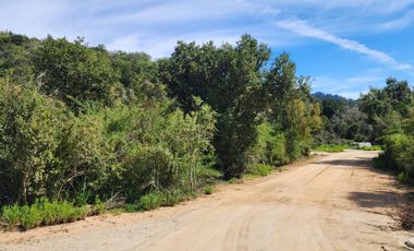 Venta Parcela Melosilla, Las Tablas Casablanca