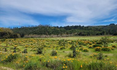 Venta Parcela Melosilla, Las Tablas Casablanca