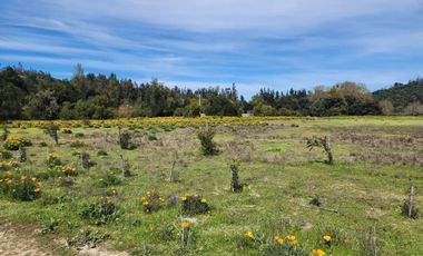 Venta Parcela Melosilla, Las Tablas Casablanca