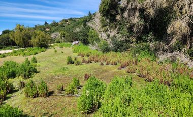 Venta Parcela Melosilla, Las Tablas Casablanca