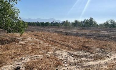Venta de Parcelas Proyecto “El Romero” – Talagante