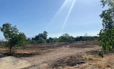 Venta de Parcelas Proyecto “El Romero” – Talagante