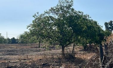 Venta de Parcelas Proyecto “El Romero” – Talagante
