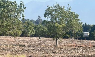 Venta de Parcelas Proyecto “El Romero” – Talagante