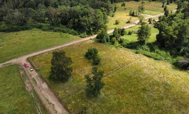 Venta de Parcelas – Sector Folilco, Región de Los Ríos