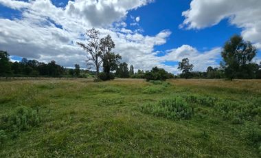 Venta de Parcelas – Sector Folilco, Región de Los Ríos