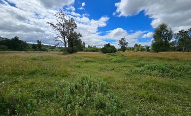 Venta de Parcelas – Sector Folilco, Región de Los Ríos