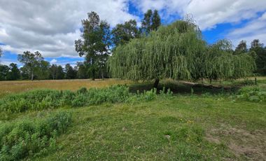 Venta de Parcelas – Sector Folilco, Región de Los Ríos