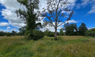 Venta de Parcelas – Sector Folilco, Región de Los Ríos