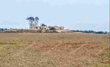 Vendo de Oportunidad Terreno de 15 Hectareas Chicha km 204.5 Sur,  al  Borde de la Nueva Autopista Lima Ica.