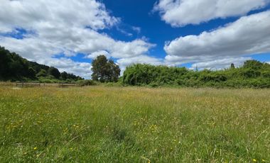 Venta de 3 Parcelas Exclusivas – Sector Folilco, Región de Los Ríos