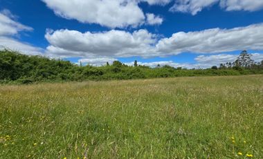 Venta de 3 Parcelas Exclusivas – Sector Folilco, Región de Los Ríos