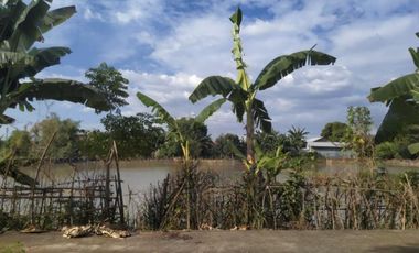 Tanah dijual di Kanjilo, Barombong, Gowa, Sulawesi Selatan