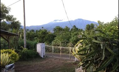 Dijual / Sewa tanah di area Agrowisata Batu Malang seluas 1 ha, SHM.  view bagus