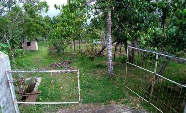 Dijual / Sewa tanah di area Agrowisata Batu Malang seluas 1 ha, SHM.  view bagus