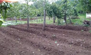 Dijual / Sewa tanah di area Agrowisata Batu Malang seluas 1 ha, SHM.  view bagus