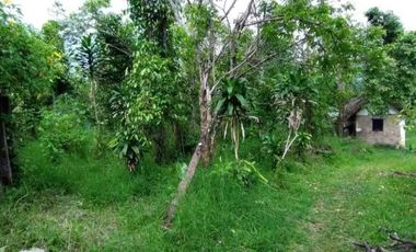 Dijual / Sewa tanah di area Agrowisata Batu Malang seluas 1 ha, SHM.  view bagus