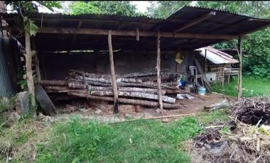 Dijual / Sewa tanah di area Agrowisata Batu Malang seluas 1 ha, SHM.  view bagus