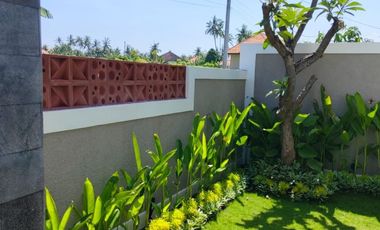 FOR SALE BEAUTIFUL VILLA WITH RICE FIELD VIEW AND LARGE SWIMMING POOL AT BULELENG