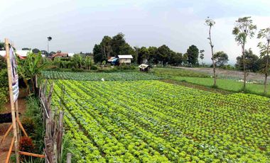 DIJUAL RUMAH DESAIN VILLA 
BUAT INVESTASI PENSIUNAN PASTI NYAMAN