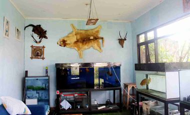 DIJUAL RUMAH DESAIN VILLA 
BUAT INVESTASI PENSIUNAN PASTI NYAMAN