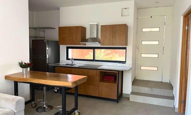 Departamento Renta Carretera Nac.