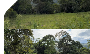 Terreno en venta en Sucúa, Terrenos con facilidades de pago, Terrenos baratos, Lotes con facilidades de pago en Sucúa, Terrenos en Morona Santiago