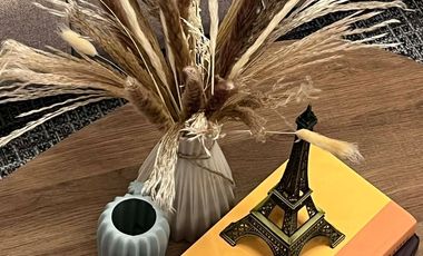 2 Bedroom Bungalow House and Lot at Plaridel Heights Bulacan