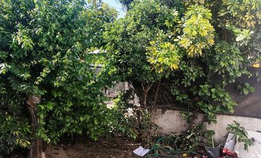 Amplia casa muy bien ubicada