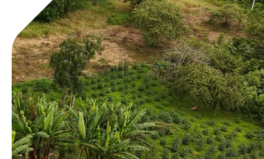 Venta de Terreno en Huambinimi Sucúa, Terrenos con falicidades de pago en Sucúa, Terrenos baratos en Morona Santiago.