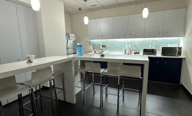 OFICINA EQUIPADAS Y AMUEBLADAS EN PLAZA CARSO, EN VENTA