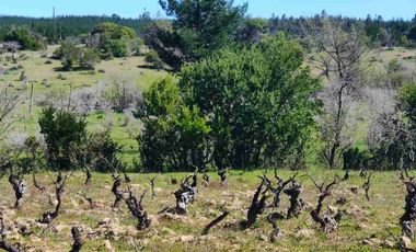 se vende terreno 1.3