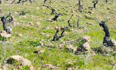 se vende terreno 1.3