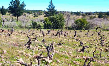 se vende terreno 1.3