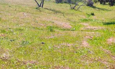 se vende terreno 1.3