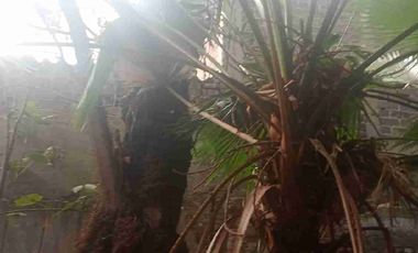 TERRENO COMERCIAL  DE 300 METROS EN VENTA EN AVENIDA MÉXICO NEZAHUALCÓYOTL