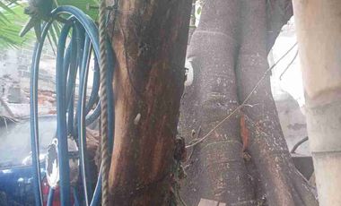 TERRENO COMERCIAL  DE 300 METROS EN VENTA EN AVENIDA MÉXICO NEZAHUALCÓYOTL