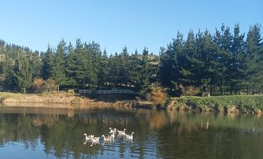 VENDO PARCELA DE 5000 M2 EN SECTOR LOS CRISTALES, COMUNA DE PENCAHUE
